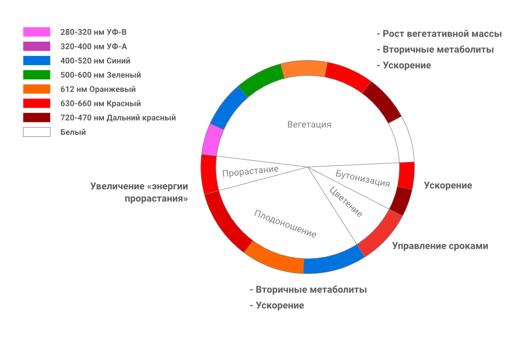 альтернативный текст