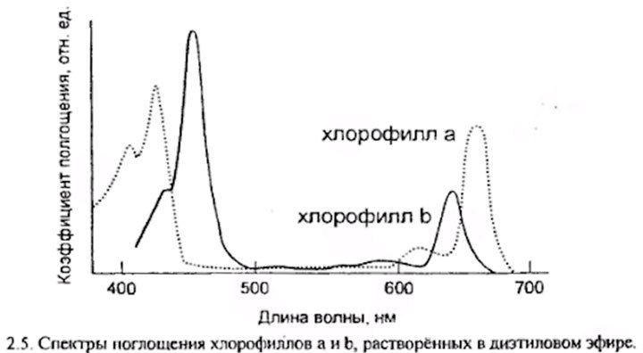 альтернативный текст