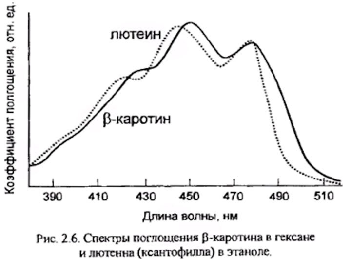 альтернативный текст